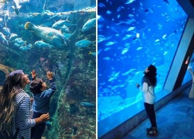 Rondleiding Istanbul Aquarium