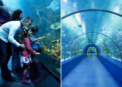 Oceanarium in Antalya van Kemer