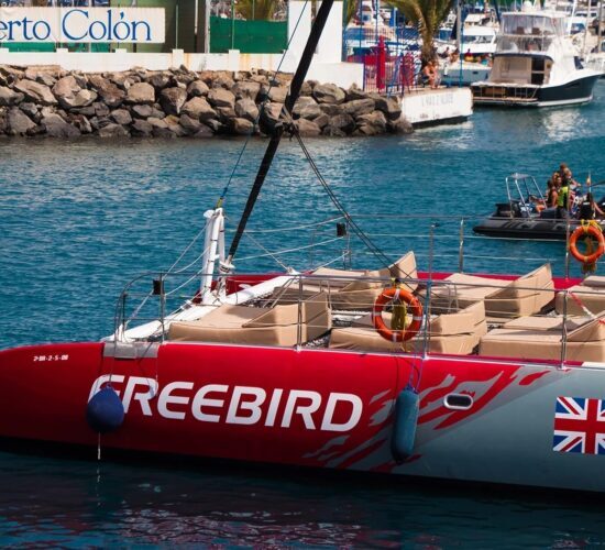 freebird-catamaran