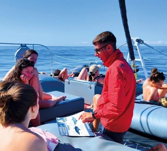 witte-tenerife-catamarans