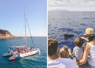 White Tenerife Catamaran